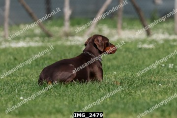 IMG_2479.jpg