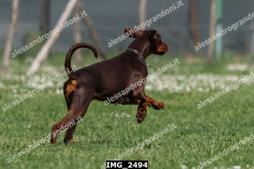 IMG_2494.jpg