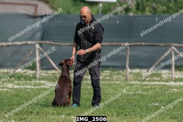 IMG_2506.jpg
