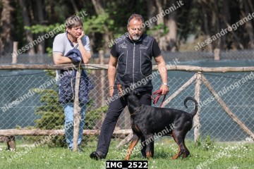 IMG_2522.jpg