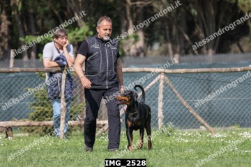 IMG_2528.jpg