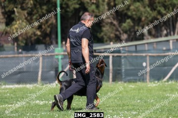 IMG_2583.jpg