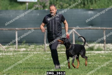 IMG_2612.jpg