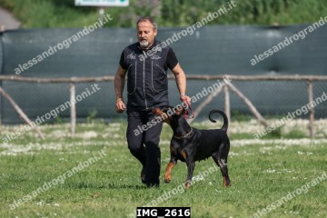 IMG_2616.jpg