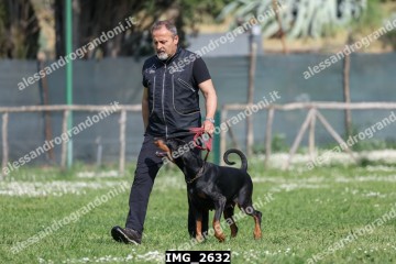 IMG_2632.jpg