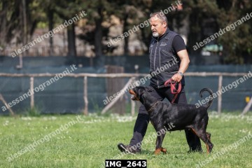 IMG_2643.jpg