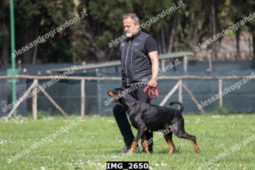 IMG_2650.jpg