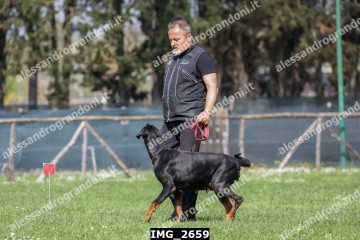 IMG_2659.jpg