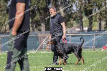 IMG_2669.jpg