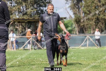 IMG_2681.jpg