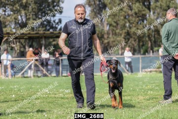 IMG_2688.jpg