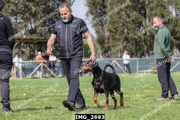 IMG_2693.jpg