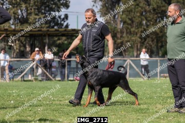 IMG_2712.jpg