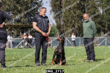 IMG_2717.jpg
