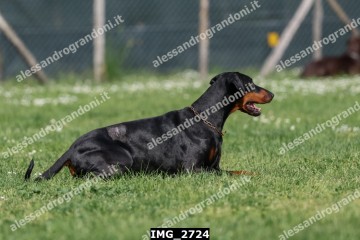IMG_2724.jpg