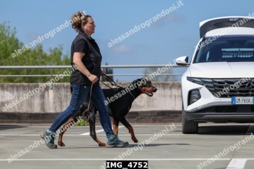 IMG_4752.jpg