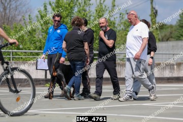 IMG_4761.jpg
