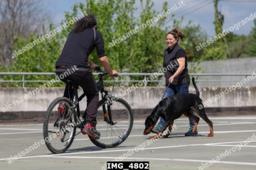 IMG_4802.jpg