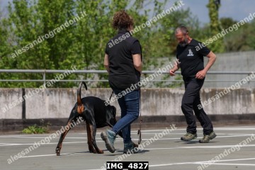 IMG_4827.jpg