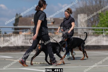 IMG_4911.jpg