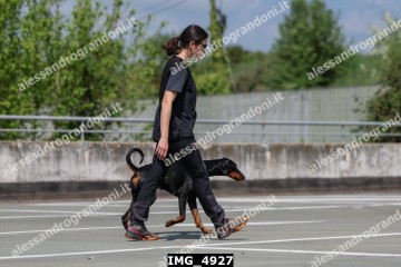 IMG_4927.jpg