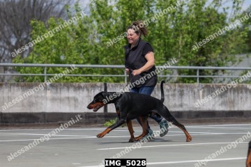 IMG_5028.jpg