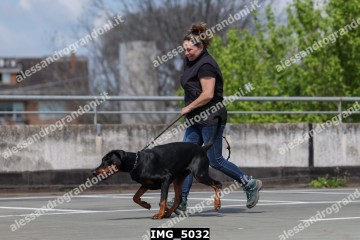 IMG_5032.jpg