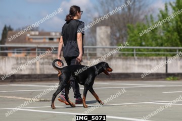 IMG_5071.jpg