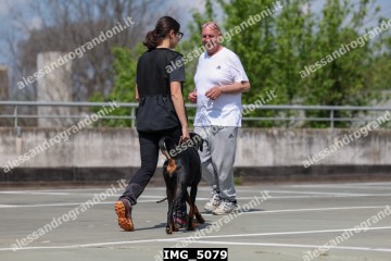 IMG_5079.jpg