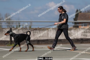 IMG_5105.jpg