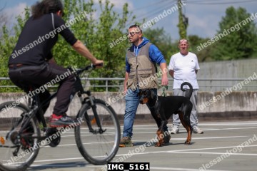 IMG_5161.jpg