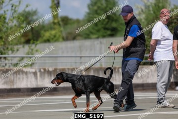 IMG_5197.jpg