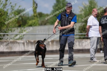 IMG_5208.jpg