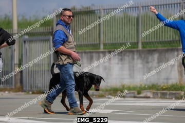 IMG_5229.jpg