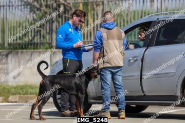 IMG_5248.jpg