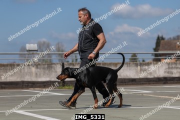 IMG_5331.jpg