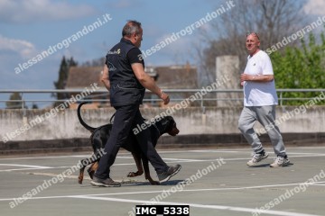 IMG_5338.jpg