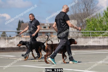 IMG_5395.jpg