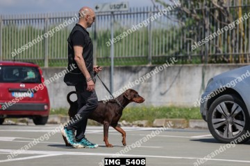IMG_5408.jpg
