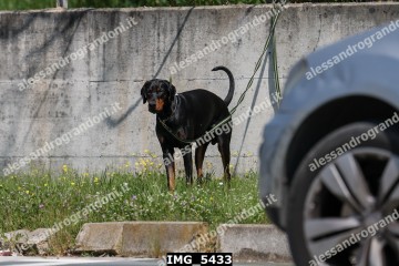 IMG_5433.jpg