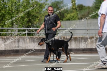 IMG_5469.jpg