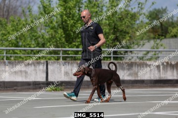 IMG_5514.jpg
