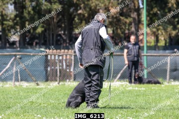 IMG_6213.jpg