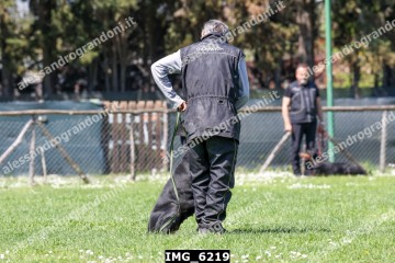 IMG_6219.jpg
