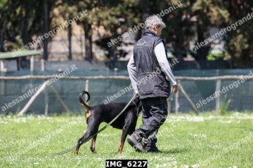 IMG_6227.jpg