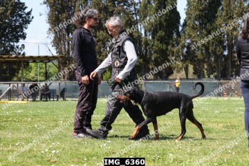 IMG_6360.jpg