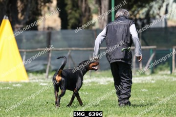 IMG_6396.jpg