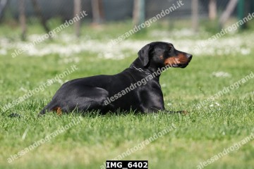 IMG_6402.jpg