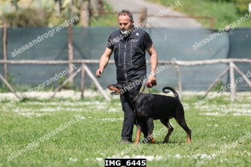 IMG_6445.jpg
