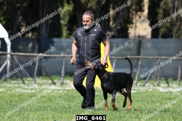 IMG_6461.jpg